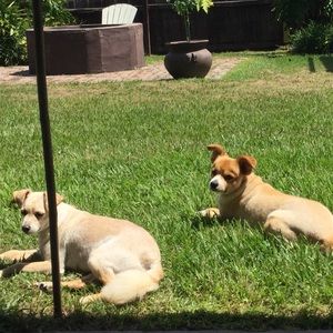 Meet your Posher, Marie